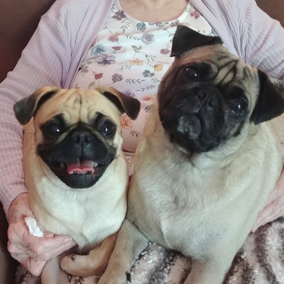 Meet your Posher, Sarah - Picture 5 of 5